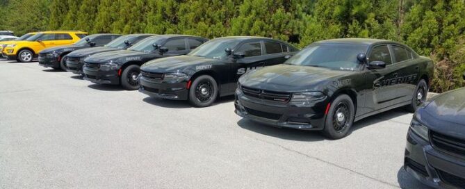 fleet consulting, fleet management consultants, commercial fleet management, corporate fleet management,